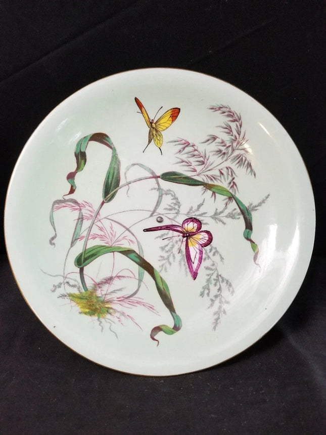British Porcelain Fruit Compote with Butterflies C.1850 9.5" x 3.5" - Estate Fresh Austin