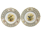 c1855 Minton Hand Painted Bird Plates in Devon Shape 9.5