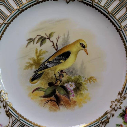 c1855 Minton Hand Painted Bird Plates in Devon Shape 9.5" pair - Estate Fresh Austin