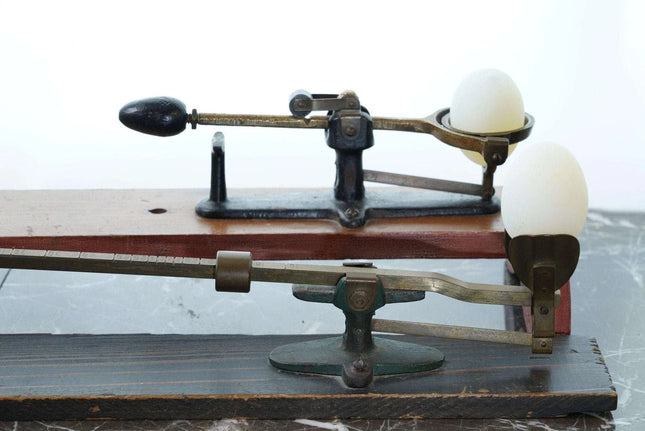 c1900 Reliable Egg Scales Los Angeles California made - Estate Fresh Austin