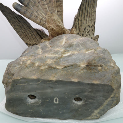 c.1910 15" Bergman Austrian Cold Painted Bronze Sparrow Hawk Sculpture on Stone - Estate Fresh Austin