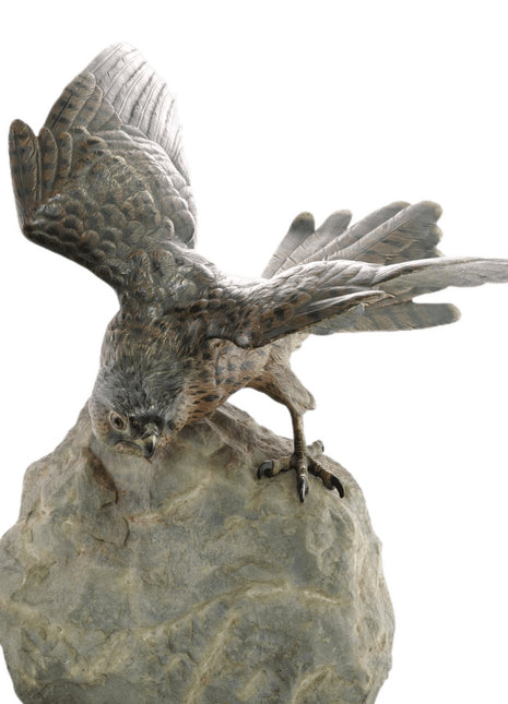 c.1910 15" Bergman Austrian Cold Painted Bronze Sparrow Hawk Sculpture on Stone - Estate Fresh Austin