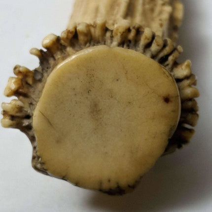 c1910 Alfred Williams Sheffield Knife Stag Handle Original Sheath - Estate Fresh Austin