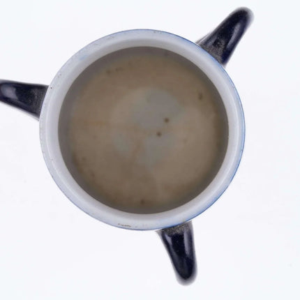 c1910 Catalina Island California Souvenir Toothpick holder - Estate Fresh Austin