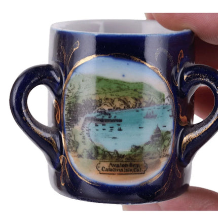 c1910 Catalina Island California Souvenir Toothpick holder - Estate Fresh Austin