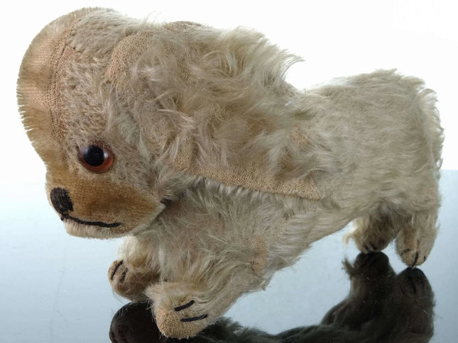 c1920 Steiff King Charles Spaniel Mohair 10.5" long x 5.5" tall - Estate Fresh Austin