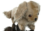 c1920 Steiff King Charles Spaniel Mohair 10.5