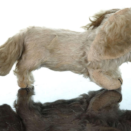 c1920 Steiff King Charles Spaniel Mohair 10.5" long x 5.5" tall - Estate Fresh Austin