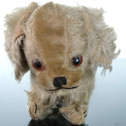 c1920 Steiff King Charles Spaniel Mohair 10.5" long x 5.5" tall - Estate Fresh Austin