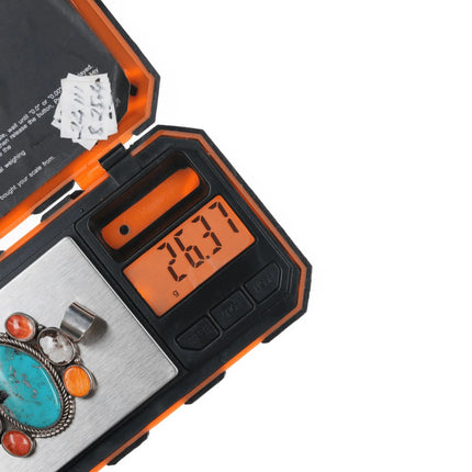 Carlyne Apachito "Nasiho" Navajo multi-stone sterling pendant - Estate Fresh Austin