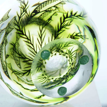 Edward Hald (1883-1980) for Orrefors, Graal Fish Vase 1963 Mid century Modern - Estate Fresh Austin