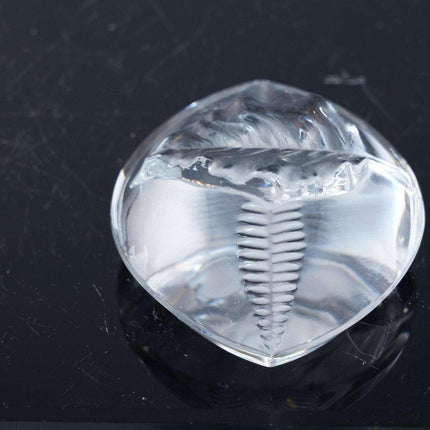 French Lalique crystal paperweight - Estate Fresh Austin