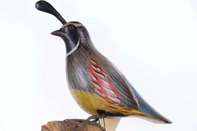 Hand Carved Gamble Quail Figure by Blue Frogs carvings - Estate Fresh Austin