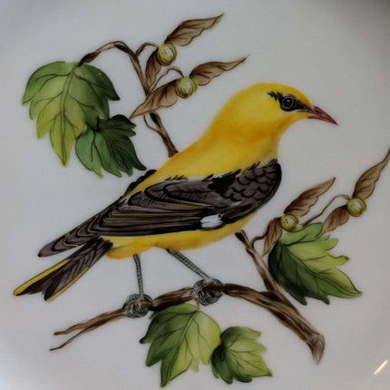 Hand Painted 1990 Bird of the Year Plate 21/30 Oriole Schumann Vogel see jahres - Estate Fresh Austin