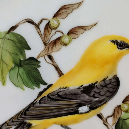 Hand Painted 1990 Bird of the Year Plate 21/30 Oriole Schumann Vogel see jahres - Estate Fresh Austin