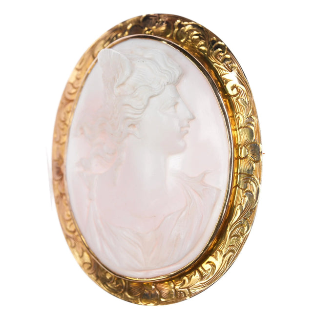 c1900 Syman Bros. Denver CO 14k gold high relief pink shell cameo brooch pin - Estate Fresh Austin