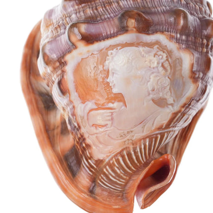 Large Vintage Carved Cameo Conch Shell 2 - Estate Fresh Austin