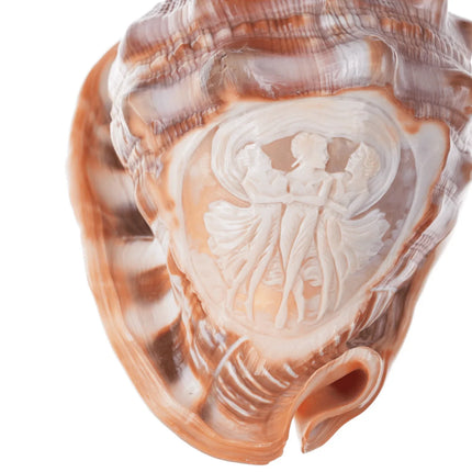 Large Vintage Carved Cameo Conch Shell - Estate Fresh Austin