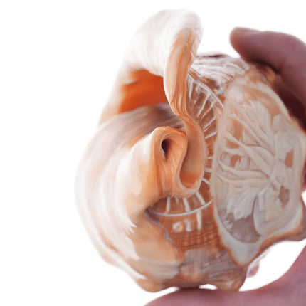 Large Vintage Carved Cameo Conch Shell - Estate Fresh Austin