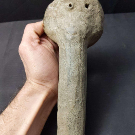 Pre Columbian Pottery Whistle Noise Maker - Estate Fresh Austin