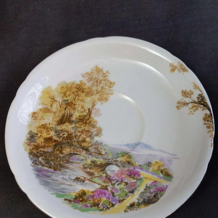 Shelley Heather cup and Saucer Set (multiple available) Gainsborough Shape - Estate Fresh Austin