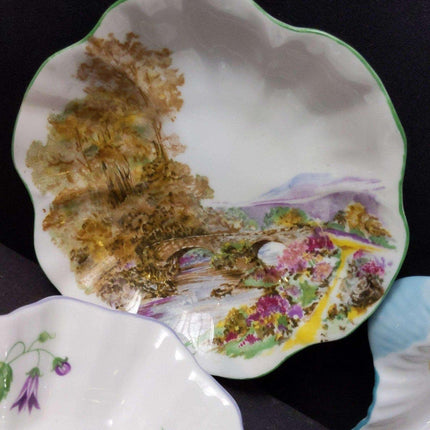 Shelley Nut Dish Collection (7) - Estate Fresh Austin