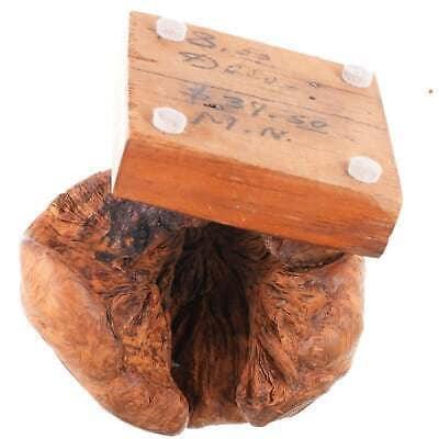 Vintage carved burl sculpture - Estate Fresh Austin