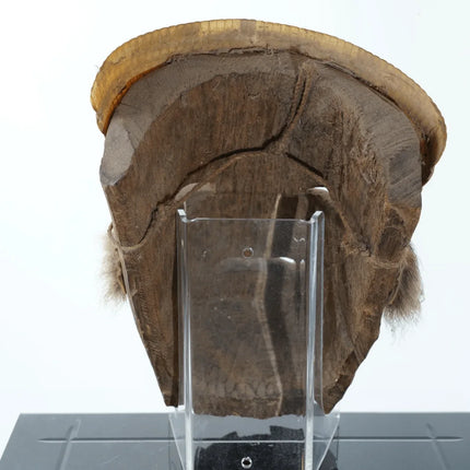 Vintage Oaxaca Mexico Armadillo Dance mask - Estate Fresh Austin