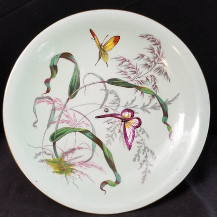 British Porcelain Fruit Compote with Butterflies C.1850 9.5" x 3.5" - Estate Fresh Austin