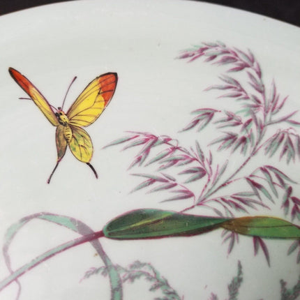 British Porcelain Fruit Compote with Butterflies C.1850 9.5" x 3.5" - Estate Fresh Austin